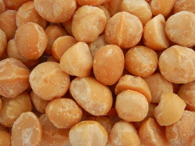 High Quality Macadamia Nuts_Macadamia Nut Kernels
